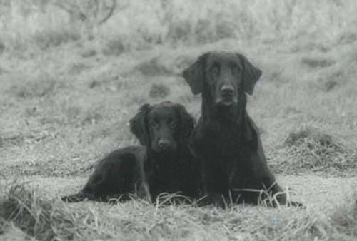 Alice & Effie, Kellies mamma Effie